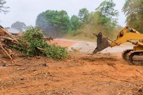 Ground Clearing in Post Falls