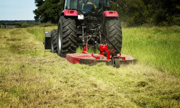 Brush Clearing Service in Post Falls