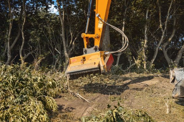 Brush Removal Service in Post Falls