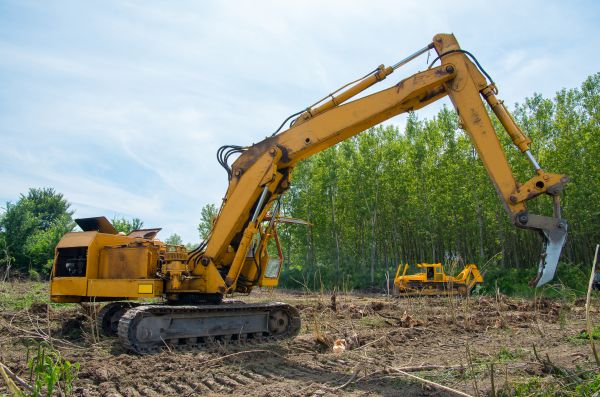 Farm Clearing in Post Falls