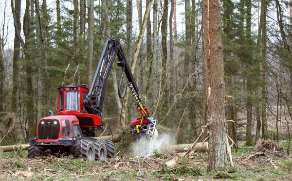 Forest Clearance Service in Post Falls