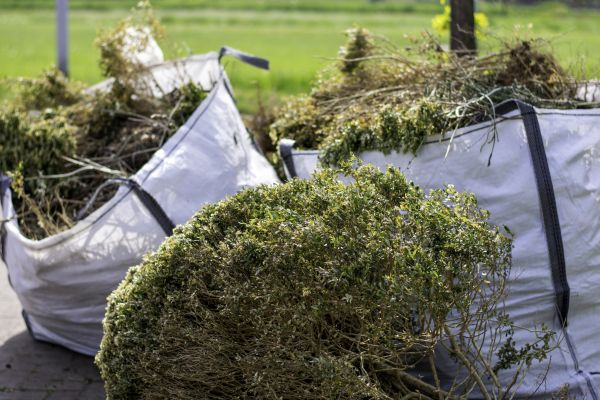 Cost of Bushes Clearing in Post Falls