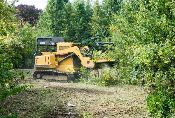 Pathway Clearing in Post Falls