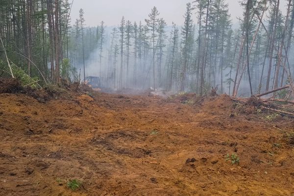 Hill Clearing in Post Falls