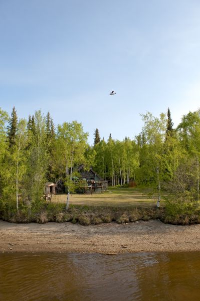 Waterfront Land Clearing in Post Falls
