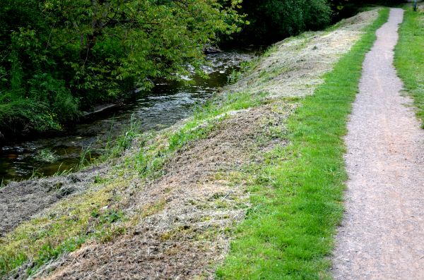 Trail Cutting in Post Falls
