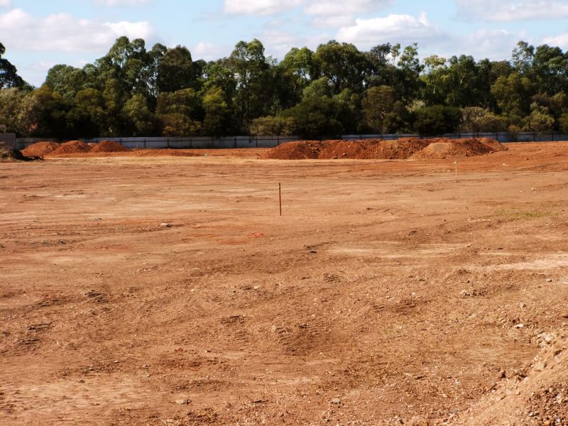 Post- clearing Land Condition